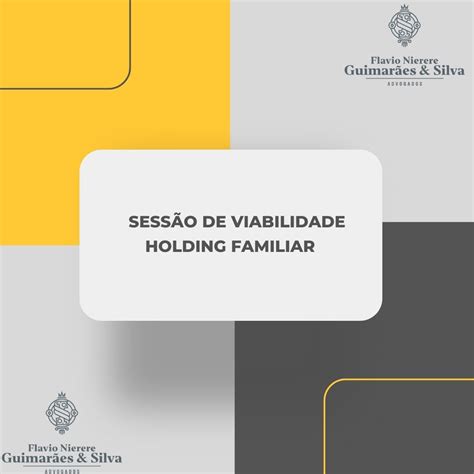 Sessão de Viabilidade Holding Familiar Flavio Guimarães Hotmart