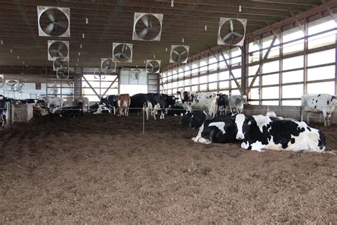 Compost Barns aumente a produção da sua fazenda Tecnologia no Campo