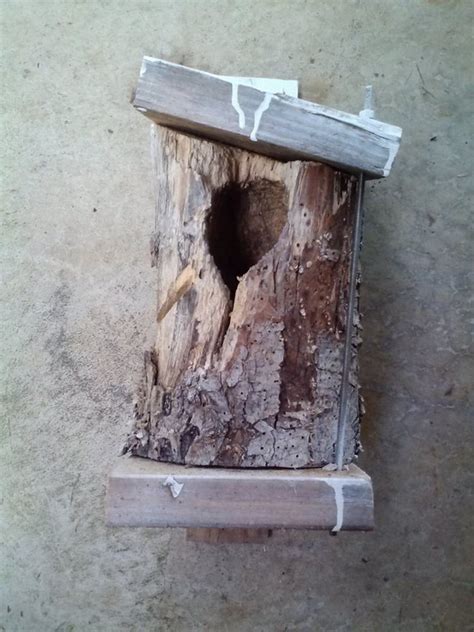 7 Budget Friendly Diy Owl House Plans The Newlywed