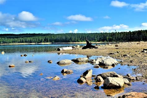 Turquoise Lake Camping & Dispersed Camping | Camino Adventures