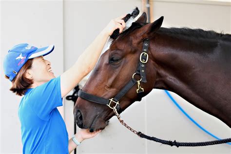 東スポ競馬 On Twitter 【注目新馬・日曜中山】古馬相手に堂々先着の シュマンドロワ 奥村武調教師も期待大「いきなりから好勝負に