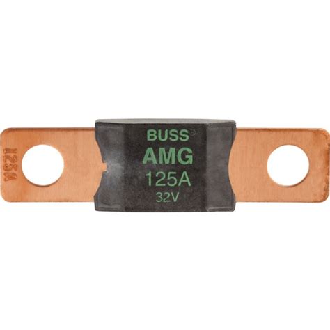 Mega Fuse 125 Amp