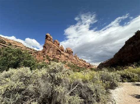 Best Trails And Hikes In Grand Junction Alltrails