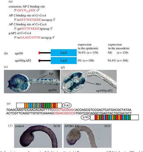 Figure 1 From Transcriptional Regulation Of A Horizontally Transferred