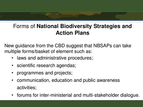 National Biodiversity Strategies And Action Plans Overview In The C