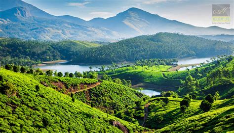 Thekkady And Munnar Holiday Life