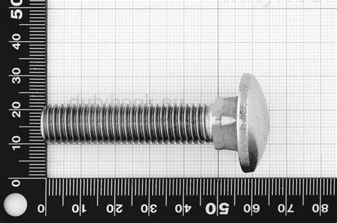 M X Carriage Bolt Din Stainless Steel Aisi Marine Grade