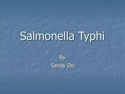 Ppt Salmonella Typhi Powerpoint Presentation Free Download Id515108