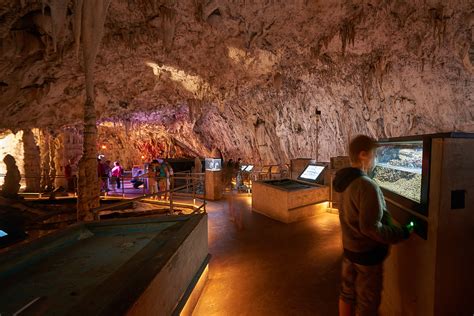 Proteus Cave With A Vivarium Visit Postojna