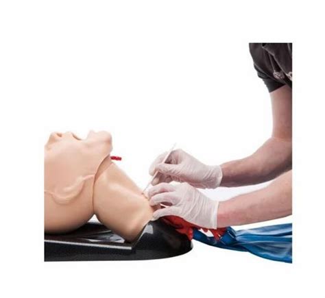 Airway Management Trainer At Rs Human Anatomical Models In