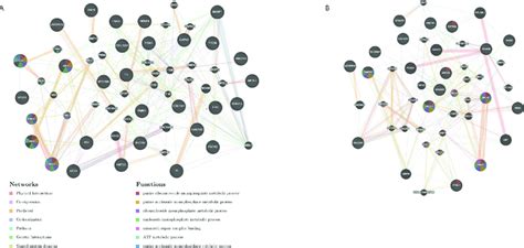 A: Gene-specific proportion of pathogenic SNPs across 20 ethnic groups ...