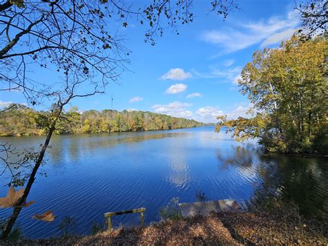 Michelle Greene - Coosa River Realty | Pell City AL