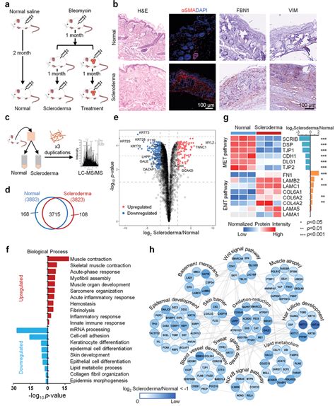 Quantitative Proteome Profiling Of Protein Signatures In Scleroderma