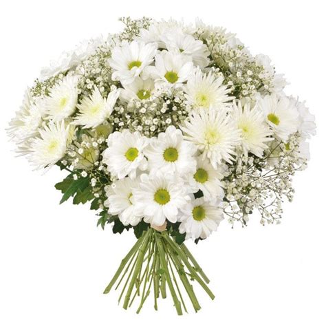 Order White Chrysanthemum & Gypsophillia Bouquet - PFS