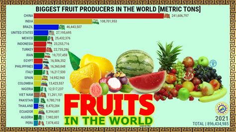 Biggest Fruit Producers In The World Youtube