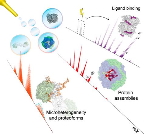 High Resolution Native Mass Spectrometry Chemical Reviews