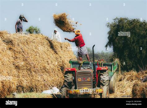 Group Of Indian Farmers Working Stock Photo Alamy