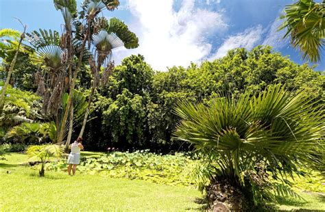 Visit Of Harrison Smith Botanical Garden A Nice Place On Tahiti Island