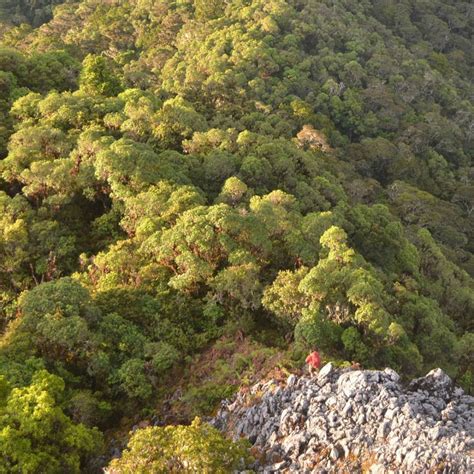 9 Potret Taman Nasional Manusela Wisata Alam Sejuta Pesona