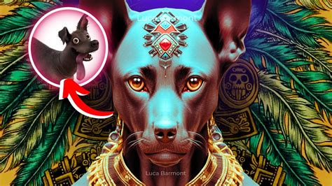 La Leyenda Del PERRO AZTECA El Xoloitzcuintle Mitos Y Leyendas