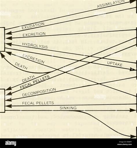 Carbon cycle diagram hi-res stock photography and images - Alamy