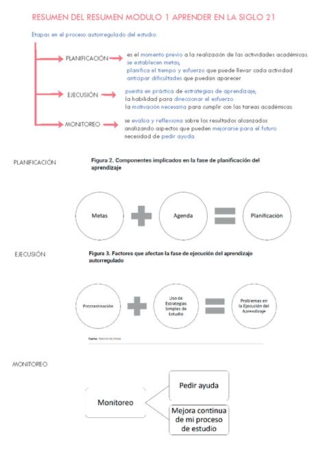 Resumen Del Resumen Aprender En La Siglo Modulo Etapas En El