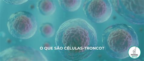 O Que É Célula Tronco - O que são células-tronco?