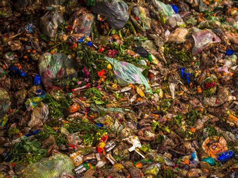 Déchets Organiques Recycleurs De Genève