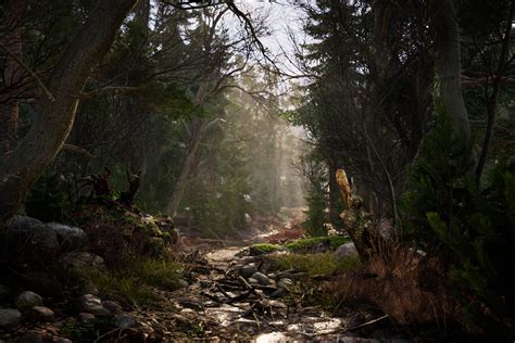 Real Landscapes - Valley Forest | 3D Landscapes | Unity Asset Store