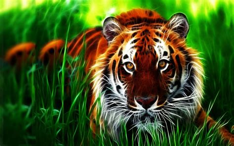 Animated Animal Wallpapers - 4k, HD Animated Animal Backgrounds on ...