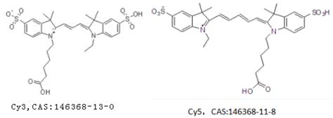 星戈瑞荧光标记方法简述 CY5 azideSulfo CY3 NH2CY7 DBCO2023供应