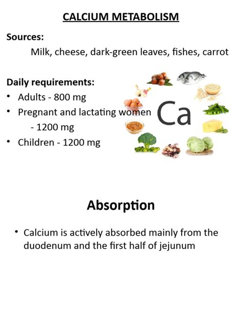 Calcium Metabolism | PDF | Calcium | Biochemistry