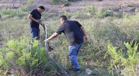 Revientan Tomas Clandestinas Robaban Agua Para Granjas