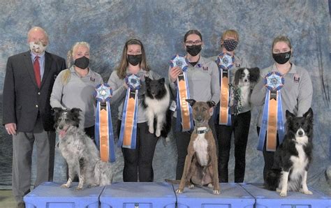 National Agility Championship Preferred Winners American Kennel Club