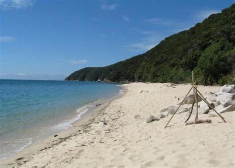 Another Perfect Beach Photo Of Tasman Nelson New Zealand At Kiwiwise