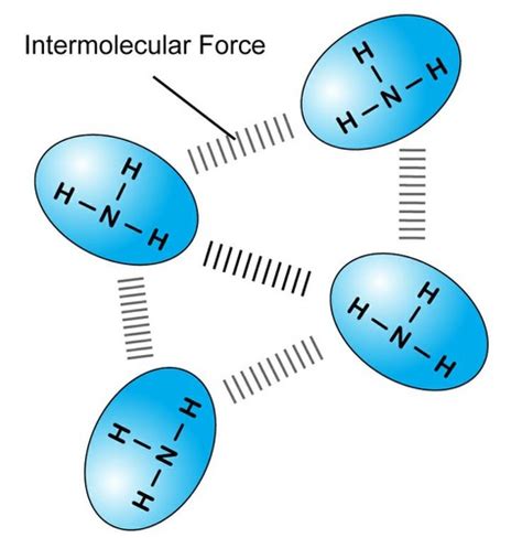 Intermolecular Forces Flashcards Quizlet