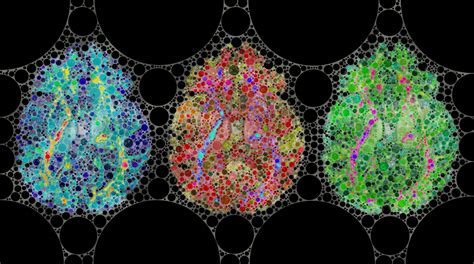 Brain Art Competition 2012 | The Neuro Bureau