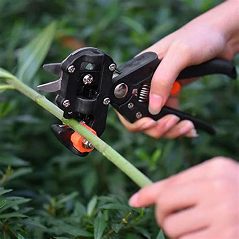 Taille haie Sécateur de greffage outil de jardin coupe de branche