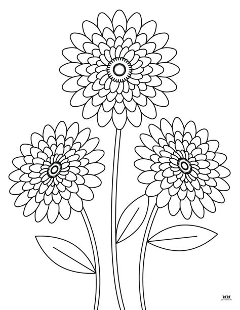 Free Flower Coloring Pages Pre Infoupdate Org