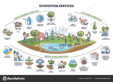 Servicios ecosistémicos con categorías de subdivisión esquema de