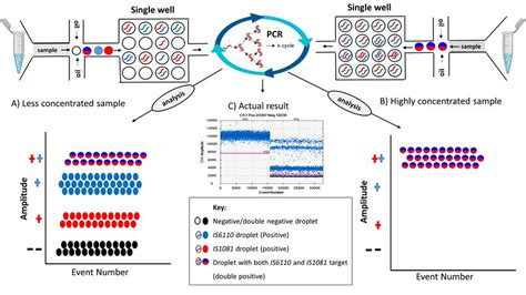 Droplet Separation In A Single Dye Duplex Ddpcr Assay Based On Sample