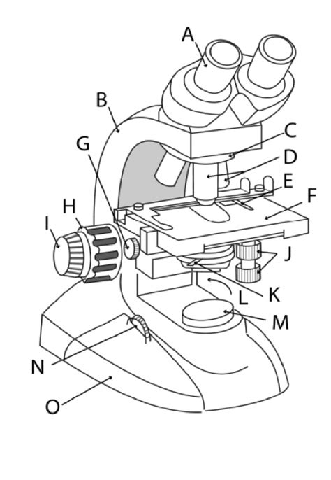 Labeling Microscope Diagram | Quizlet