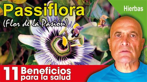 Passiflora Beneficios Para La Salud Youtube