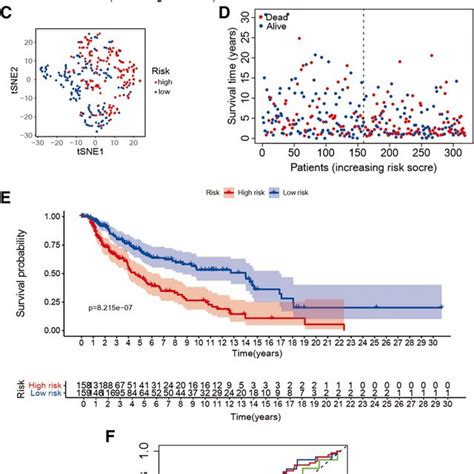 The 9 Gene Model In The Train Cohort Prognostic Analysis A The Risk