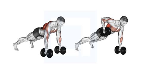 Decline Sit Up Guide Benefits And Form