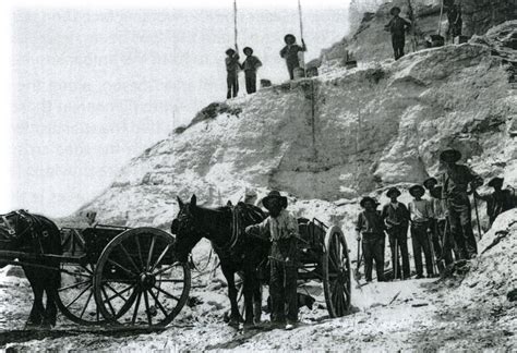 Blue Mountains Local Studies: The Sydney Rock and its Environs