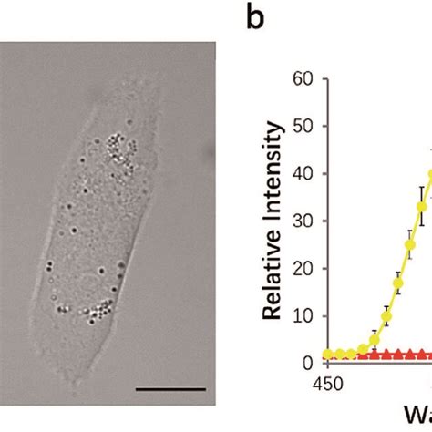 3d Imaging Of Lipid Droplets And Lysosomes By Nim 7 A A Scheme For