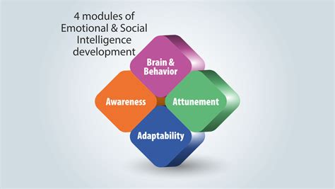 Understand The Concept Of Emotional And Social Intelligence With Socialigence