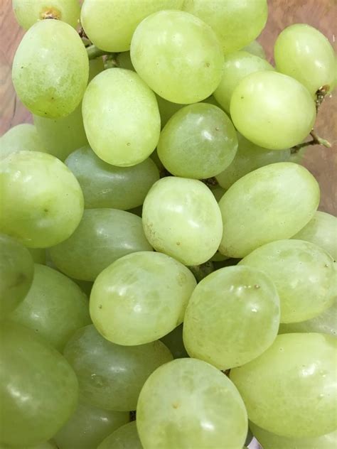 Green seedless grapes - 500g - The Northampton Grocer