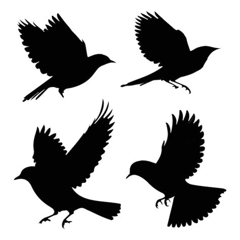 Premium Vector Silhouette Birds Vector